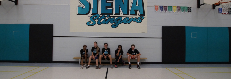 Five students in sports uniform sitting on a bench in the gym, a banner above them saying, "Siena Stingers".
